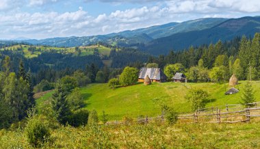 Yaz dağlar (Karpat, Ukrayna)