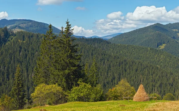 Sommerbergwiese — Stockfoto