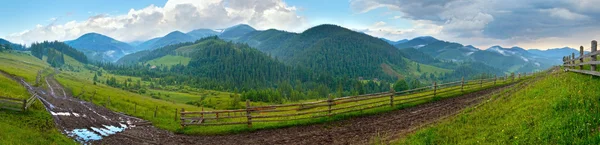 Estate vista montagna — Foto Stock