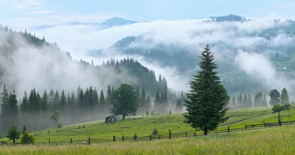 Nebel im Berg — Stockfoto