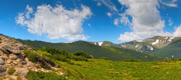 Estate vista montagna — Foto Stock