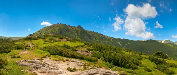 Verão vista montanha — Fotografia de Stock