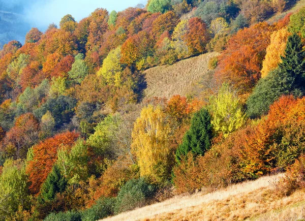 Forêt de montagne d'automne — Photo