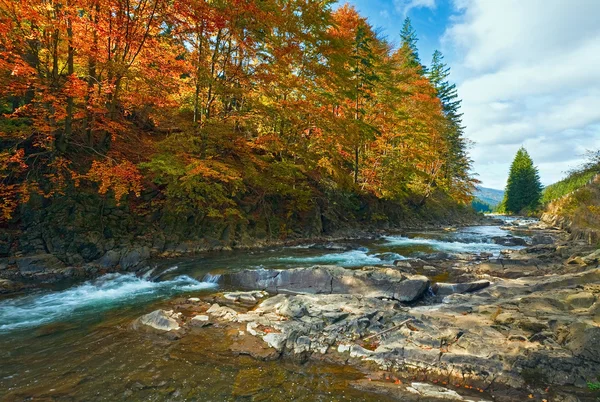 Rotsachtige herfst rivier — Stockfoto