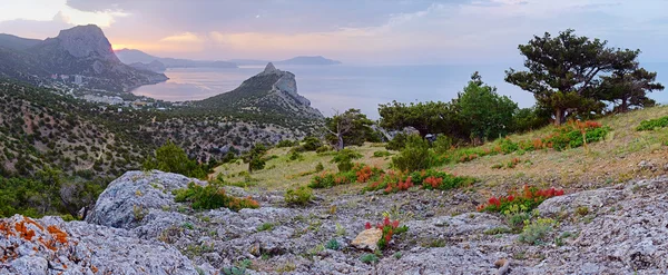 Crimea zonsopgang kustlijn landschap — Stockfoto