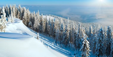 Snowdrifts kış panorama manzara