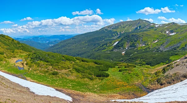 Estate vista montagna — Foto Stock