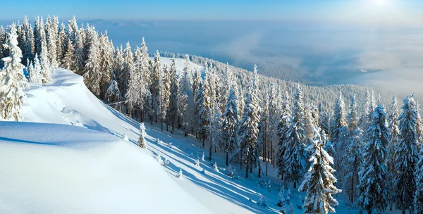 Snowdrifts 겨울 파노라마 풍경 — 스톡 사진