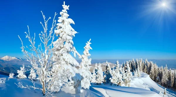 Zimní mountain view — Stock fotografie
