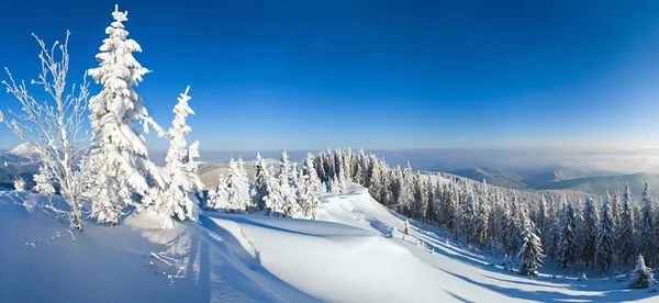 Inverno vista montanha — Fotografia de Stock