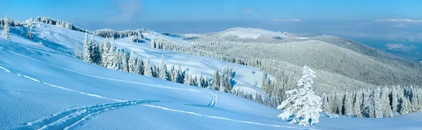 Χειμώνα ορεινό πανόραμα τοπίο — Φωτογραφία Αρχείου