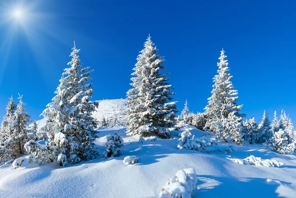 早上冬季山地景观 (喀尔巴阡、 乌克兰). — 图库照片