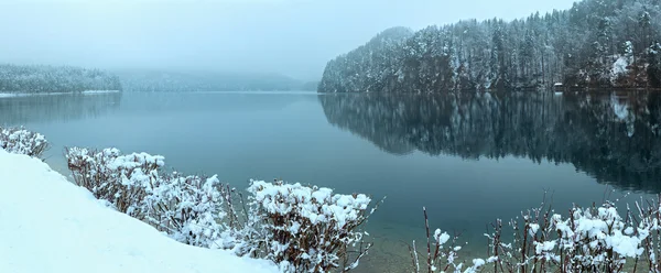 冬天 Alpsee 湖全景 — 图库照片