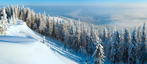 Snowdrifts kış panorama manzara