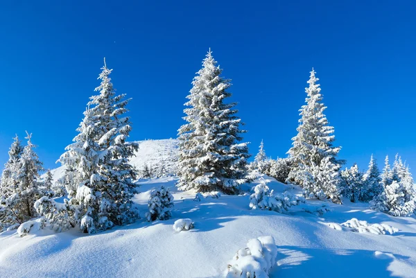 Mattina inverno paesaggio montano (Carpazi, Ucraina ). — Foto Stock