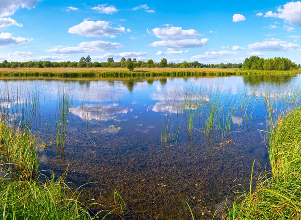 Yaz rushy Gölü — Stok fotoğraf