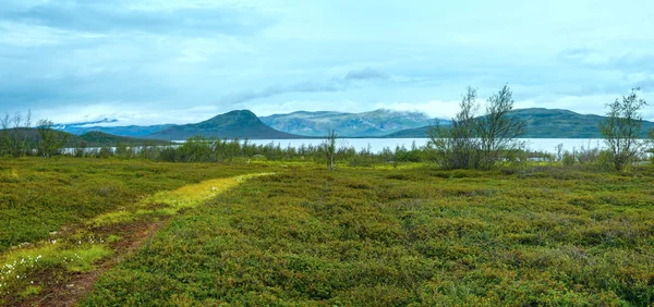 Tornetrask lake nyári látkép (Lapland, Svédország) — Stock Fotó