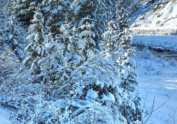 Χειμώνα ρυάκι με χιονισμένα δέντρα. — Φωτογραφία Αρχείου