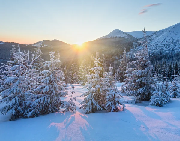 Sunrise зимових гірський краєвид з ялинки. — стокове фото