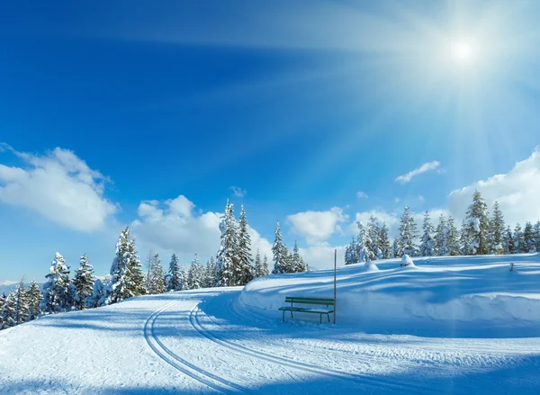 Inverno montagna abete foresta paesaggio — Foto Stock