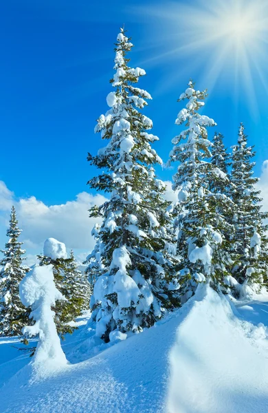 Invierno montaña abeto bosque paisaje — Foto de Stock