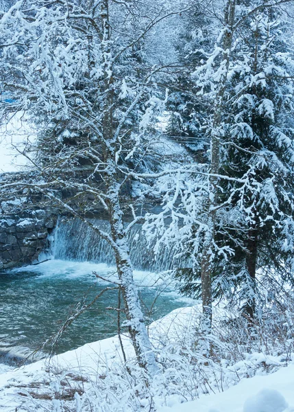 Ruscello invernale . — Foto Stock