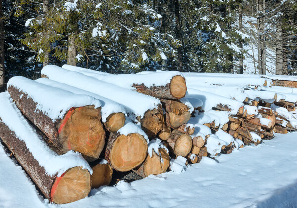Firewood along country winter road. 