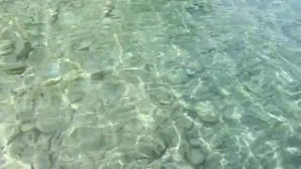Superficie del mare con acqua trasparente e pietre sul fondo. Sfondo della natura . — Video Stock