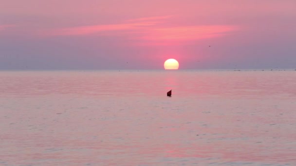 Zon stijgt boven de Horizon en roze zee. — Stockvideo