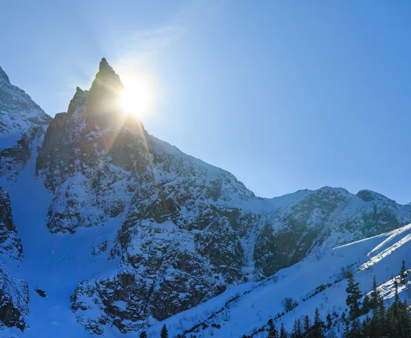 Kış kayalık dağ manzaralı. — Stok fotoğraf