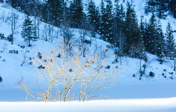 Зимний вид на горы . — стоковое фото