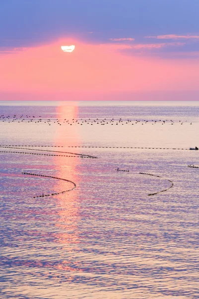 Uitzicht op zee zonsopgang. — Stockfoto