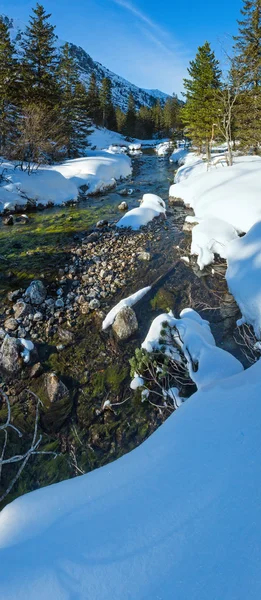 Winter mountain stream. — Stock Photo, Image