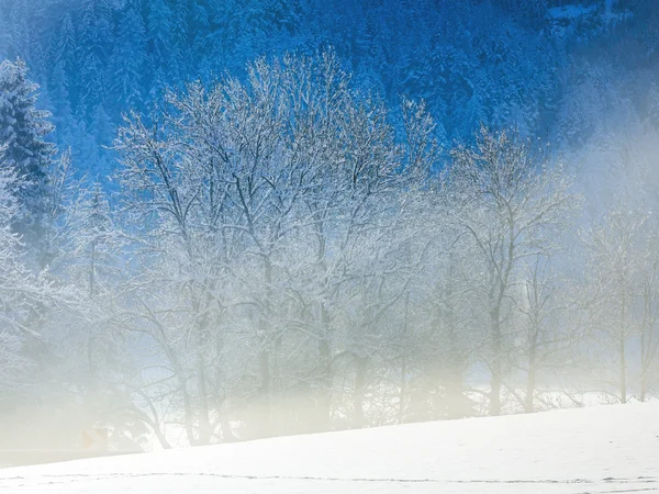 Montaña de invierno con nieve que cae de los árboles — Foto de Stock