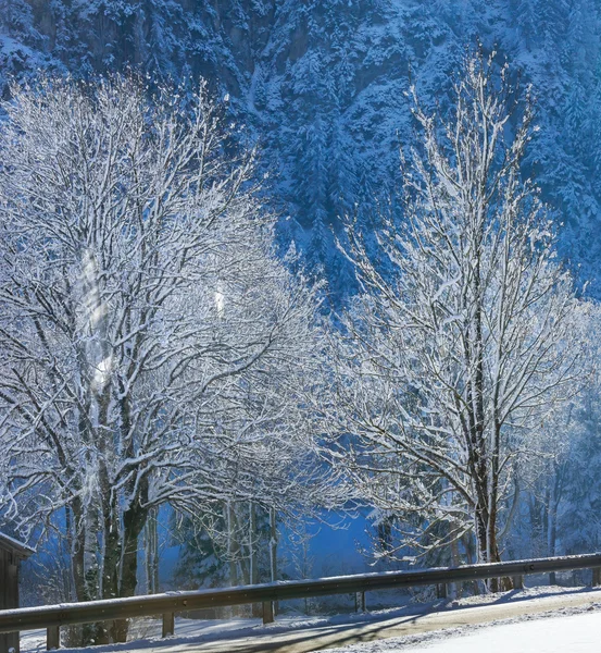 Vinterväg land och lätt snöfall. — Stockfoto