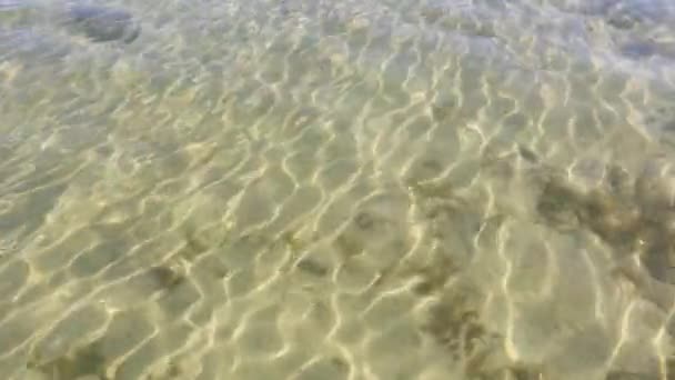 Étincelles de réflexion du soleil sur l'eau et le fond sablonneux du lac . — Video