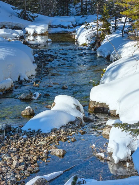 Ruscello invernale . — Foto Stock