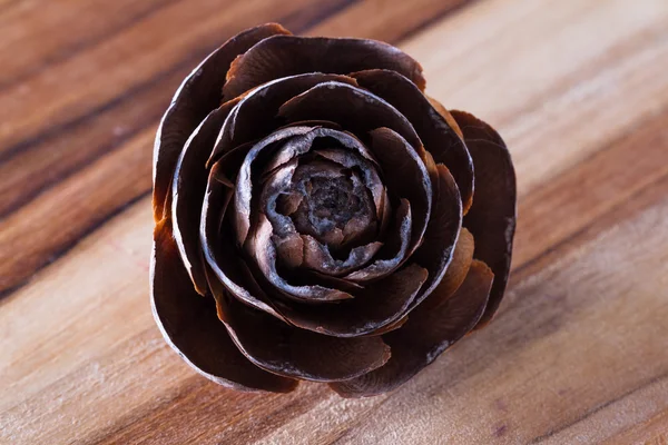 Сосновая шишка в форме розы — стоковое фото