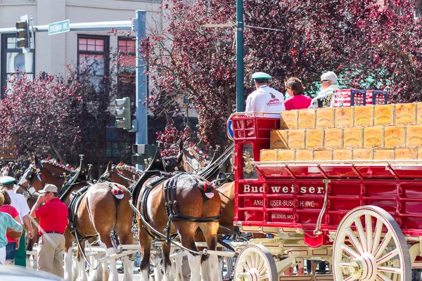 バドワイザー Clydesdales コウー d' エイリーン、アイダホ州 — ストック写真