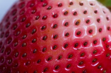 çilek makro arka plan 