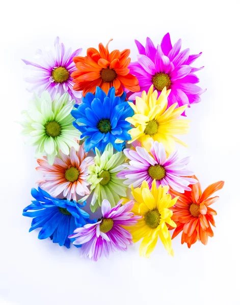 Wiosenne kwiaty w pastelowych kolorach — Zdjęcie stockowe