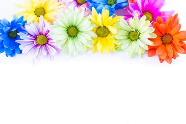 Wiosenne kwiaty w pastelowych kolorach — Zdjęcie stockowe
