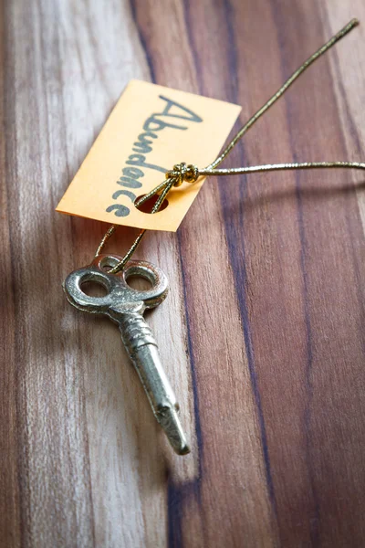 Gizli anahtarın hayattaki bereket için — Stok fotoğraf