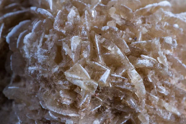 Piedra rosa del desierto — Foto de Stock