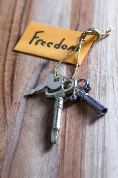 özgür bir yaşam için gizli anahtarlar 