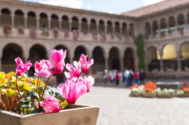Templo de Santo Domingo, Cusco Peru