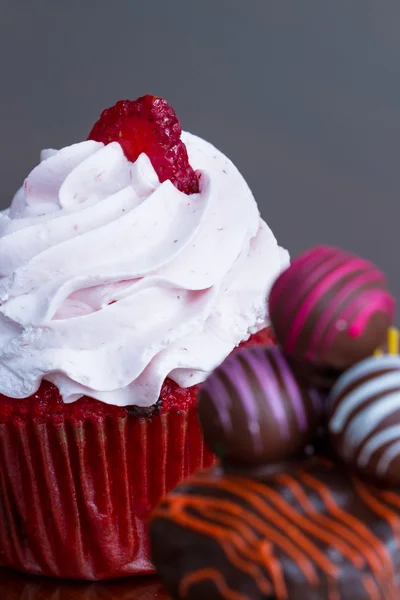 Chocolate truffle cupcake — Stock Photo, Image