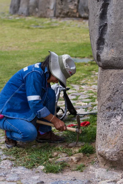 Peru çalışkan kadın — Stok fotoğraf