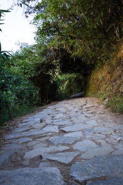 Machu Pichu 'da yürüyüş parkuru 