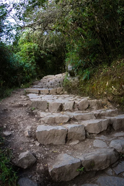 Machu Pichu 'da yürüyüş parkuru — Stok fotoğraf